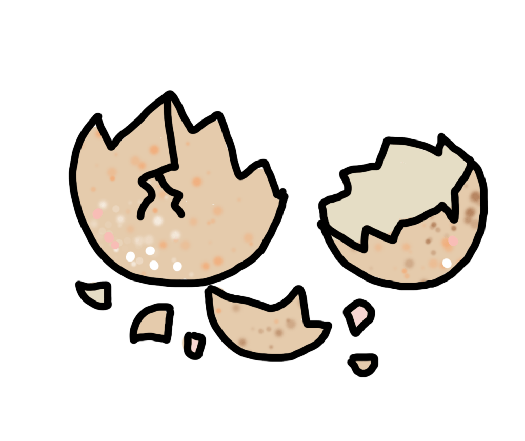 coquilles d'œuf