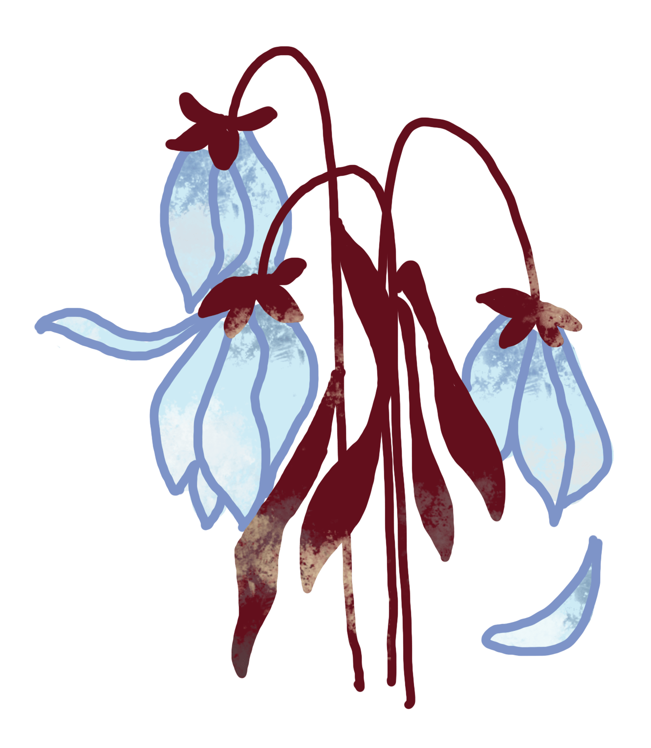 fleurs fanées