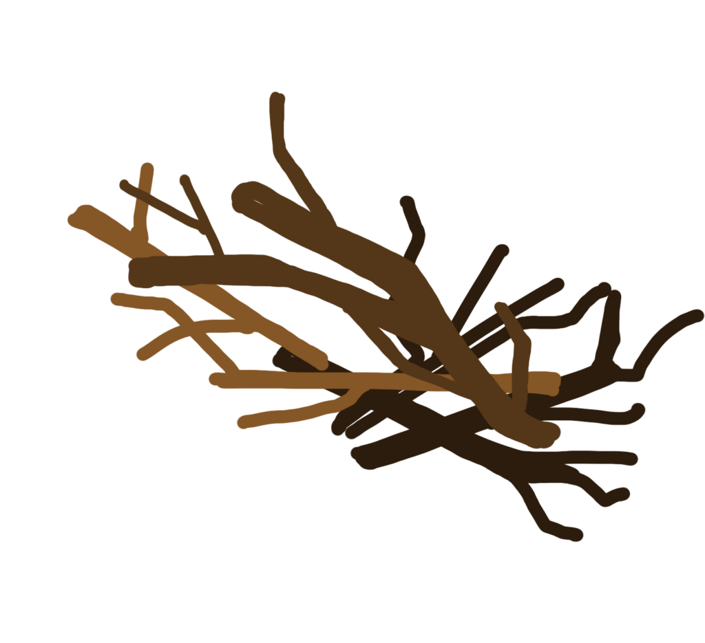 petits branchages