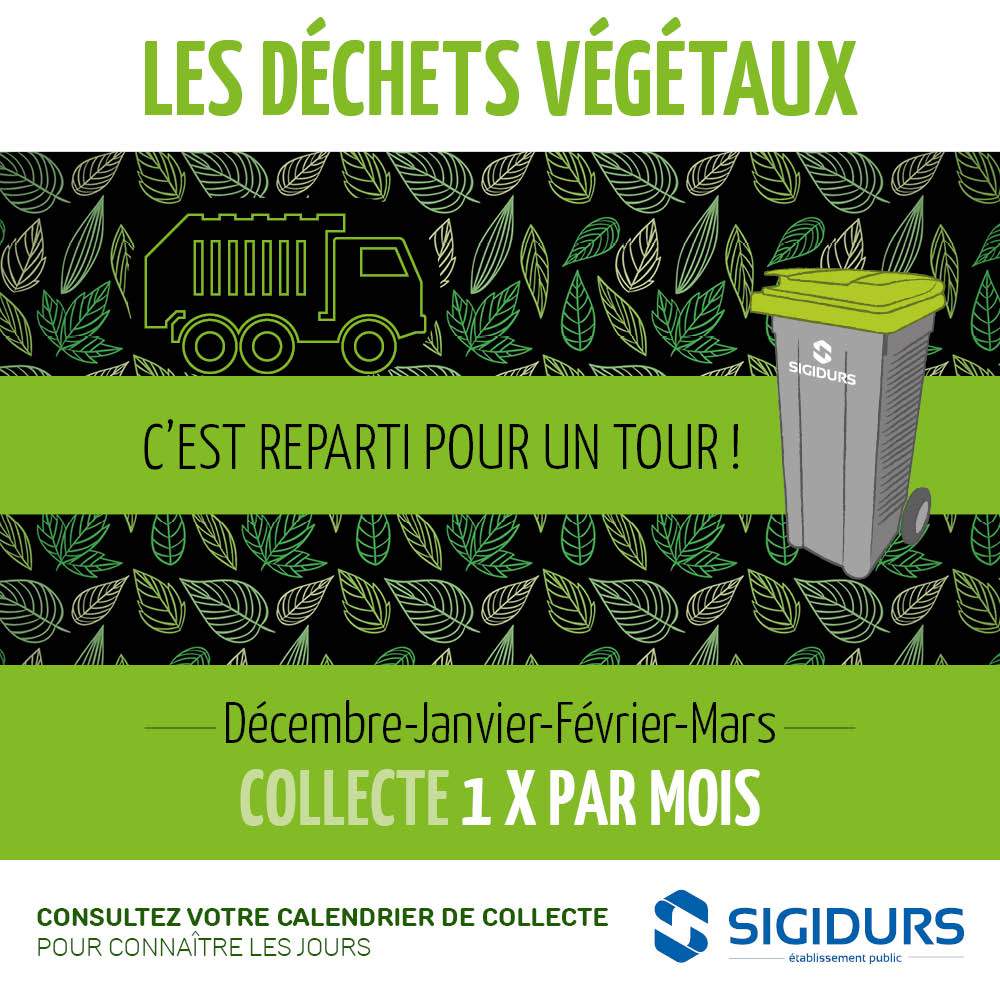 You are currently viewing De décembre à mars = changement de rythme