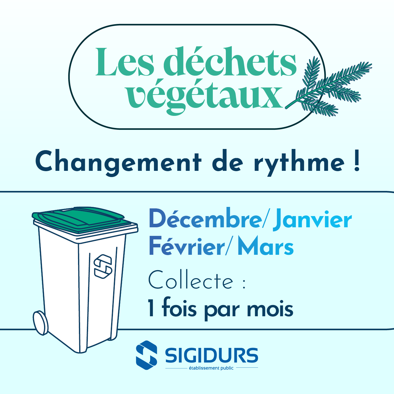 Lire la suite à propos de l’article De décembre à mars = changement de rythme