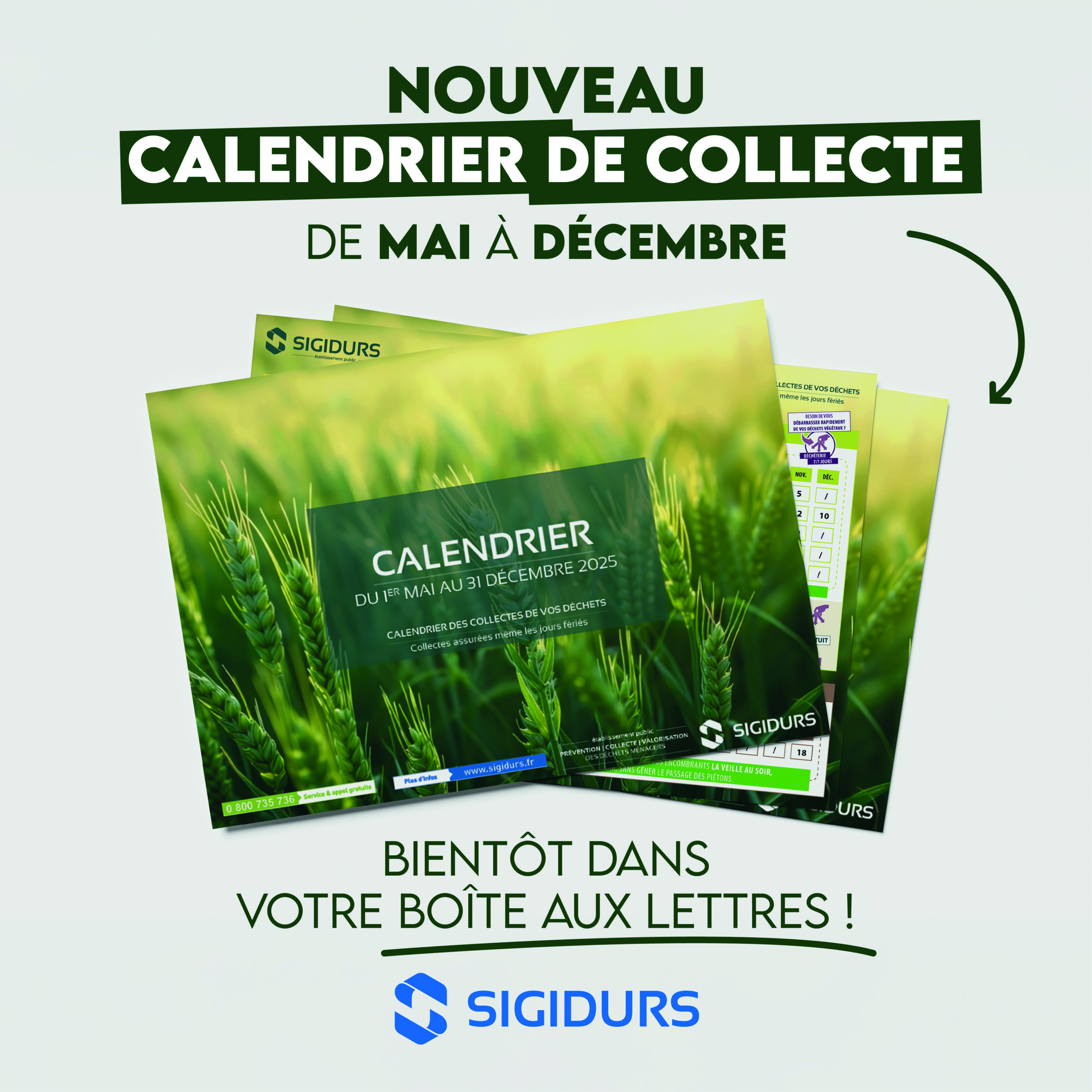Lire la suite à propos de l’article En cours de distribution