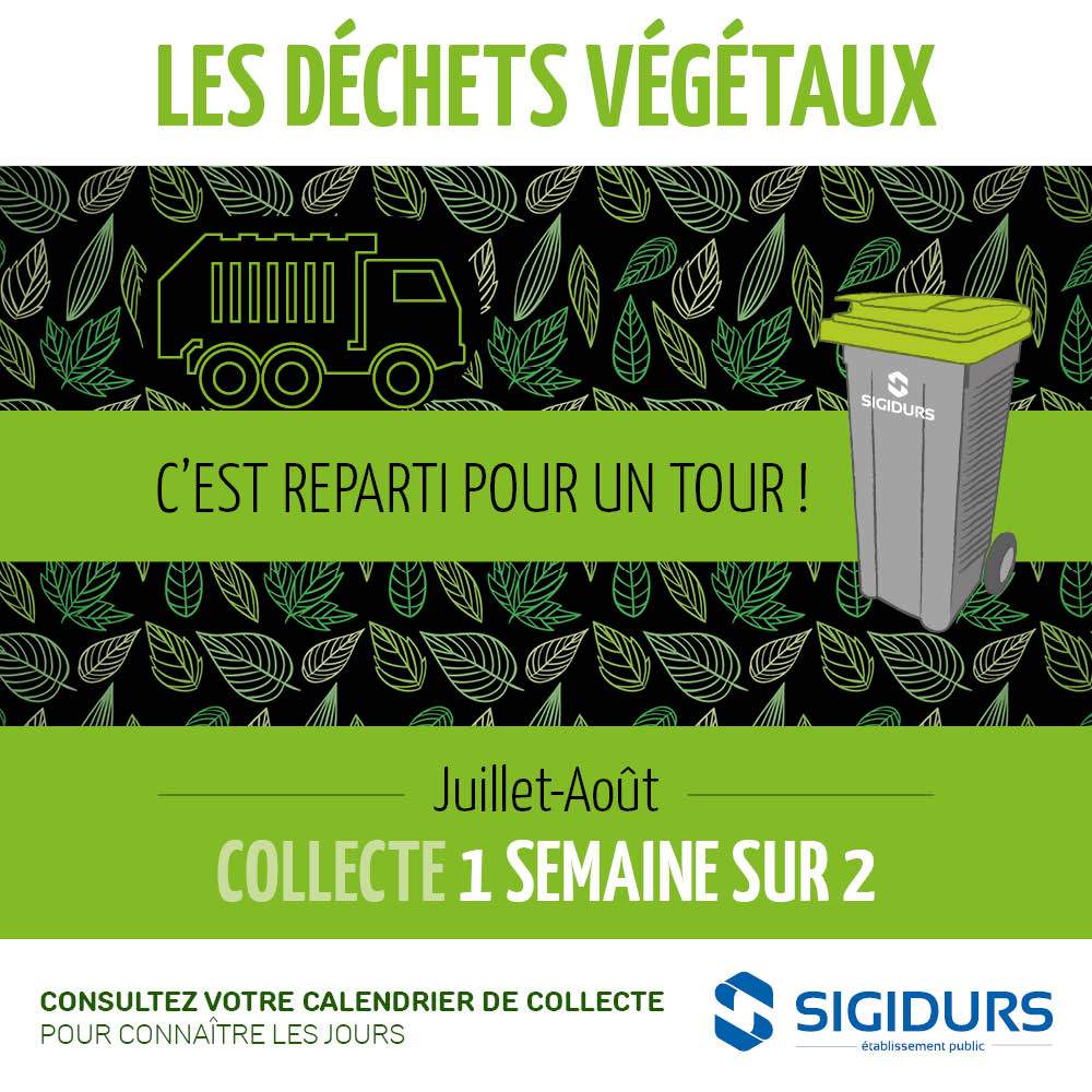 You are currently viewing Juillet – août = changement de rythme