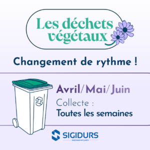 Lire la suite à propos de l’article D’avril à juin  = changement de rythme