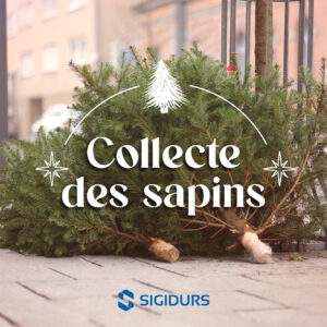 Lire la suite à propos de l’article Une seconde vie pour votre sapin de Noël